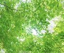 誰かと話したいなぁ…お気持ちに優しく寄り添います ただ聞いてほしい/雑談/愚痴/育児/仕事/人間関係/相談も イメージ4