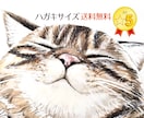 原画郵送！かわいい猫さんやペットの似顔絵描きます ハガキサイズ送料無料／イラスト／肖像画／額縁／うちの子／絵画 イメージ1