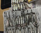 淡路島の良い釣り場教えます メッチャ釣れて人が少ないです。 イメージ3