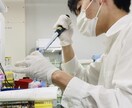 あなたのメダカに対する疑問にお答えします メダカの研究をしている大学院生が真摯にお答えします！！ イメージ1