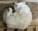 うつ病罹患経験からあなたの心に寄り添います うつ病罹患経験のある人にしかわからないような心の悩み聞きます イメージ1