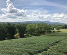 夢の実現へ向けてアドバイスをします コロナだけど方法はきっとあります。夢の実現をサポート イメージ2