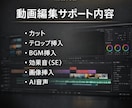 即レス対応動画編集代行30分まで対応します はじめての外注も安心。ご希望に沿って丁寧に編集します イメージ4