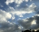 嬉しかったこと、悲しかったこと、どんな事も聞きます 聞くことだけできます。思う存分話してください。 イメージ1