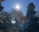 あなたの本音、あの人の本音、色が教えます 心相カラーでモヤモヤの正体を整理しましょう！ イメージ1