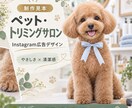 SNS投稿画像をおしゃれに作成します お店や商品の魅力が伝わる画像を丁寧に制作します イメージ4