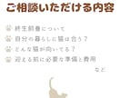 猫 専門 ペットを迎える前の相談承ります 終生飼養の視点で、犬猫飼養アドバイザーが一緒に整理します イメージ2