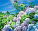 うつや適応障害1人で苦しまないで。1日お話聞きます 教師経験のあるカウンセラーと24時間やりとりし放題で笑顔に! イメージ1