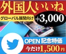 Twitterでグローバル展開の後押しをします 日本よりユーザー数が多い海外に向けて情報発信を後押し！ イメージ1