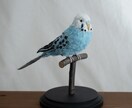手縫いと木彫りで、理想の鳥をオーダー制作します 飼い鳥、インコさん、野鳥など独自のぬいぐるみを制作します イメージ7