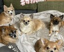 精神的な病気、うつ病でも恋愛や結婚できます 辛い努力も救われるはず！恋愛や結婚で人生が180度変わります イメージ3