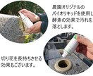 おはかもり・山口県内のお墓参り心をこめて代行します コロナ感染症のリスクが高いから…お墓参りのお困りごとを解決 イメージ6