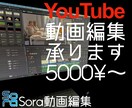 YouTube動画編集テロップ入れ、カット承ります 5000円〜(要相談)修正何度でも可能です イメージ1