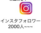 Instagramフォロワー宣伝します インスタフォロワー2000人~~ イメージ1