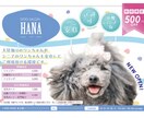 印刷&入稿形式ご対応！広告代理店経験者が作ります プロのデザイナーが集客UP×プロ品質を今だけ1万円にて！ イメージ4