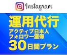 インスタグラム運用代行 フォロワー獲得します アクティブな日本人に１日最大50フォロー申請 １ヶ月間運用 イメージ1