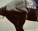 札幌2歳ステークス馬単予想します 毎週1点で仕留める馬単シリーズ イメージ1