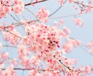 恋愛成就の伴走 その恋が叶わない理由を霊視します 恋が叶わない理由の先にある、あなたを幸せにする真実の鑑定 イメージ4