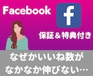 Facebookのいいね数100回以上集客します 4月30日まで追加で100回集客します！ イメージ3