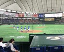 野球のバッティング上達のお手伝いをします 野球経験のない保護者の方へ分かりやすく説明。 イメージ1
