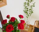 離婚、夫婦問題のお悩みやご相談お聞きします 離婚カウンセラーに向けて勉強中！皆様のお悩みお聞かせ下さい！ イメージ1