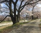 貴方のお話しをなんでも♪ すべてお聞きします 心のうちにある悩み事、愚痴などなんでも聞きます イメージ1