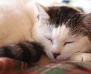 高校のメガネの男性教員が話を聞きます あなたに寄り添って話を聞きます。カウンセリングマインドで！ イメージ1