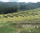 悩みに対してそっと寄り添います 悩み、愚痴、聞いて欲しいこと。 イメージ1
