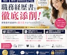 実績多数現役CAが職務経歴書を徹底添削します コンサル、IT、大手企業への支援実績多数 イメージ1