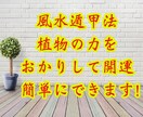 植物の気をおかりし開運します 効果はあるが一番簡単な開運法！ イメージ1