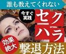 目から鱗！セクハラに悩んでいる人に対処法を教えます 簡単な知識を身につけるだけで法的証拠を集められるノウハウ集！ イメージ1