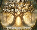 意識拡張で魂をゼロポイント覚醒調整セッションします 〜宇宙創造の源とつながり、無限の可能性をひらく光〜 イメージ6