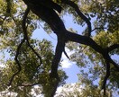 不安な気持ちありますか？優しく聞きます 失敗＊不安＊相談・気持ちを聞いて欲しい方むけ(｡･_･｡)ﾉ イメージ6
