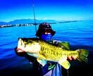 魚の釣り方教えます ロッド操作やルアーアクションなど適材適所に教えていきます。 イメージ4