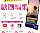 YouTubeやSNSの動画編集をします エンタメ系、ビシネス系、美容系などオールジャンル対応！ イメージ1