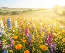 頭から離れない悩みが「あれ何だっけ？」に変わります 情報空間に働きかけ、感情を丁寧にクリアリング✨️ イメージ2