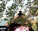 今、流行りの「東京大神宮」との波動調整等します 実際に神さまからのメッセージ知りたい。波動調整したい方に。 イメージ2