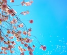 どん底から這い上がるための秘策★占いもします 解決の糸口を見つけます★新しい、幸せな人生にする為に★ イメージ6