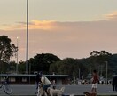 オーストラリア留学(ワーホリ)に必要な準備教えます これからオーストラリアでの生活をスタートさせる方へ イメージ5