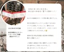 オーダーメイド◎ 席札・エスコートカード作ります 【制作実績100件超】一から希望のデザイン制作します！配送込 イメージ12