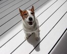 ひたすら話相手♡共感しながら寄り添います 悩み/恋愛/話相手/愚痴/雑談/不安/タロット交えて聞きます イメージ7