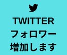 Twitterのフォロワーが増えるよう拡散します Twitter | 1000フォロワー増加 | 減少なし イメージ1