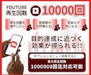 Youtube再生回数最大100万回迄増加します Youtube動画マーケティングの宣伝・バイラル、収益化！ イメージ2