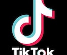 TikTokビュー再生回数を+1100UPします ティックトックのいいね,ビュー,再生数が増えるように宣伝拡散 イメージ10