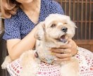 愛するペットとの幸せな瞬間を写真に残します 愛するペットとの特別な瞬間を形に イメージ6