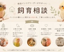 現役エキゾチックブリーダーが飼育相談に乗りますます どんな小さなお悩みでも、お気軽にご相談ください♪ イメージ1