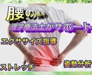 理学療法士が腰の痛みについてアドバイスします 腰の痛みでお悩みの方は、プロにお任せ下さい。 イメージ1