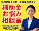 国・自治体を問わず補助金の疑問・質問にお答えします 老舗の補助金コンサルティング会社による『補助金お悩み相談室』 イメージ1