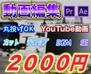 YouTube動画編集を格安でお届けします 【お試し３０秒無料編集】のサービスあります！ イメージ5