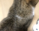 一緒に「ポジティブ」みつけます あなたの周りの小さな幸せみつけませんか？ イメージ1